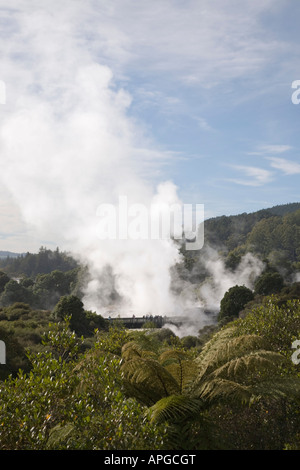 Overview steaming geysers in Whakarewarewa Thermal Reserve from NZ Arts and Crafts Institute Te Puia Rotorua New Zealand Stock Photo