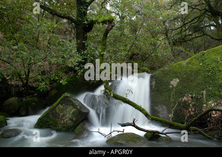 Arroyo-cascada en el Parque Natural de los Alcornocales Stock Photo
