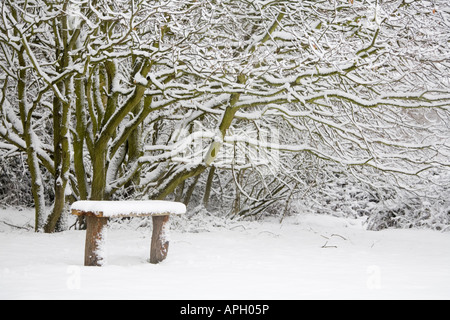 Snow covered bench in a woodland park Stock Photo