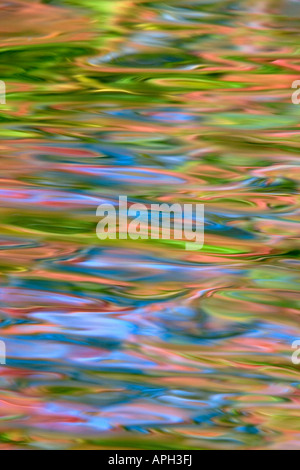 Trees of different colors of autumn reflected in the water. Photo ...