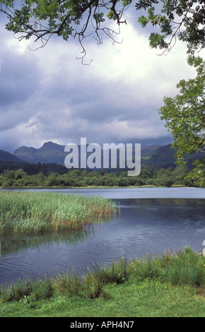 Elterwater lake and Langdale Pikes Site of Special Scientific Interest in the English Lake District Cumbria Stock Photo