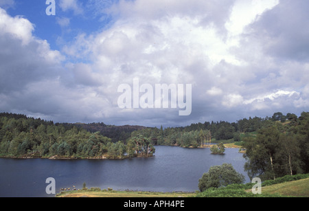 Tarn Hows in the Lake District National Park Cumbria England Stock Photo