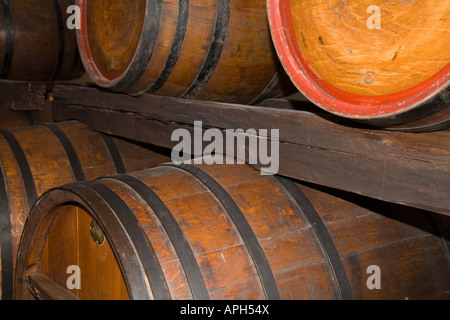 Oak wine barrels in an ancient wine cellar Stock Photo