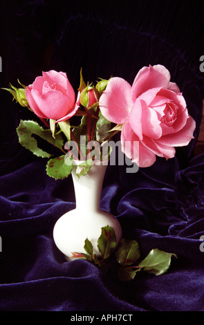 roses in vase bouquet garden dew water drops flower bonica pink red vertical artistic still life table top composition flowers Stock Photo