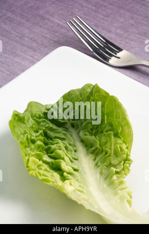 Little Gem lettuce leaf on plate Stock Photo