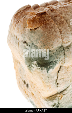 Mouldy bread Stock Photo