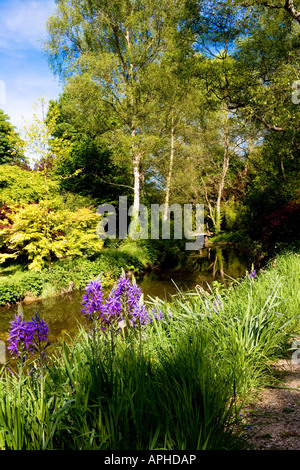 The River Nadder at Abbey House Gardens, Malmesbury, Wiltshire, England ...
