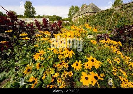 frounds of forde abbey estate dorset england Stock Photo