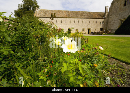 frounds of forde abbey estate dorset england Stock Photo