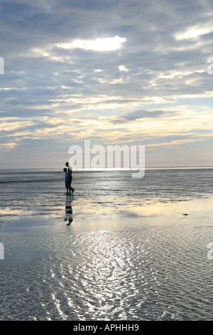 Silhouette against the sunset on the Brewster Flats, Brewster, Massachusetts, USA. Stock Photo