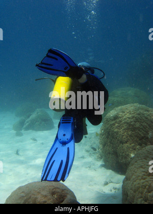 Scuba Diver Agincourt Reef Great Barrier Reef North Queensland Australia Stock Photo