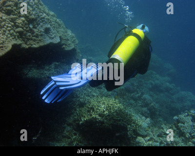 Scuba Diver Agincourt Reef Great Barrier Reef North Queensland Australia Stock Photo