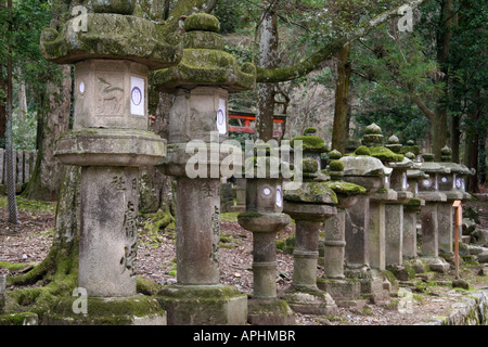 Some of the thousands of Stone lanterns that line the approach to the Kasuga Shrine in Nara, Japan Stock Photo
