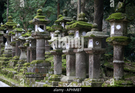 Some of the thousands of Stone lanterns that line the approach to the Kasuga Shrine in Nara, Japan Stock Photo