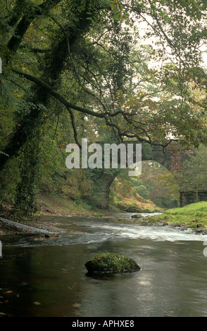 River Dane and bridge in Wincle in the Peak district Cheshire Derbyshire border UK Stock Photo