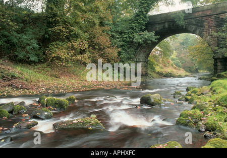 River Dane with bridge in Wincle Cheshire UK Stock Photo