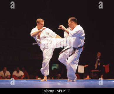 Kyokushin World Karate Championship Stock Photo