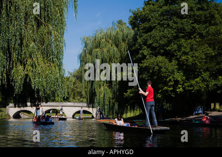 Punting on the "River Cam" near bridge in summer sun sunshine "The Backs" Cambridge Cambridgeshire East Anglia England UK Stock Photo
