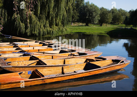 Punts on the River Cam in summer sun sunshine Cambridge Cambridgeshire East Anglia England UK United Kingdom GB Great Britain Br Stock Photo