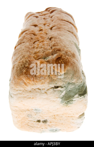 Mouldy bread Stock Photo