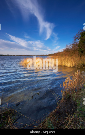 Filby Broad on a winter morning Stock Photo