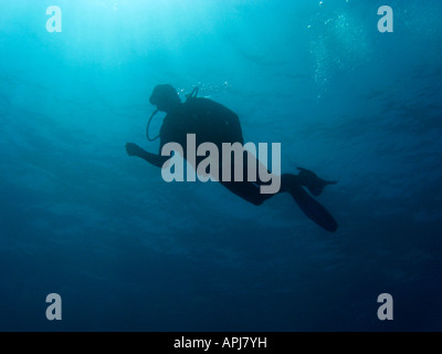 Scuba Diver Agincourt Reef Great Barrier Reef North Queensland Australia Stock Photo