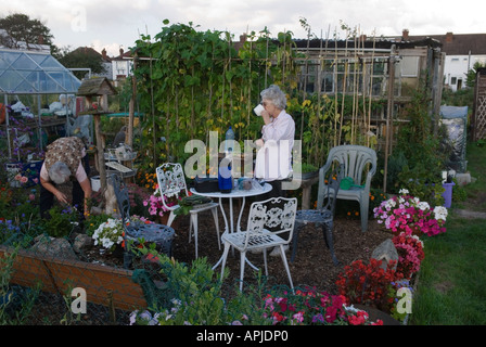 UK Elderly senior women their allotment, drinking cup of tea. Table benches chairs their own private wild allotment garden 2000s England HOMER SYKES Stock Photo