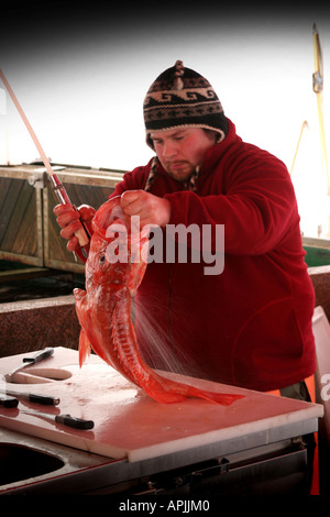 Local Fisherman at the waterfront fish market in the Torget area of central Bergen Norway Stock Photo