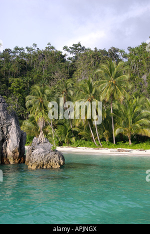 Tropical Indonesian jungle leading to pristine beaches in the Triton Bay region of Irian Jaya, Indonesia Stock Photo