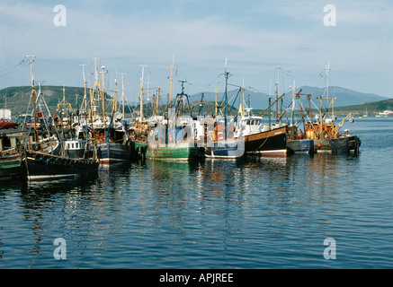 SMALL FISHING BOATS IN OBAN HARBOUR WEST COAST OF SCOTLAND UK Stock Photo