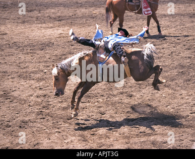 A rodeo cowboy rides a bareback bronc at the famous Sisters Rodeo in Sisters Oregon Stock Photo