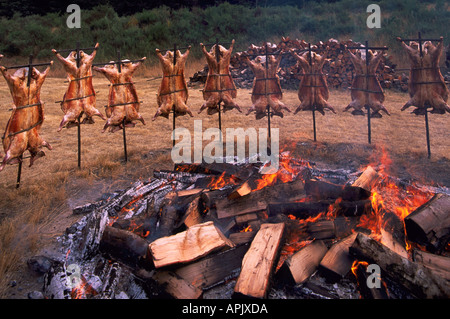 Saturna Island Lamb Barbecue, Southern Gulf Islands, BC, British Columbia, Canada - Annual Summer Barbeque around Open Fire Pit Stock Photo