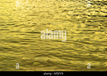 Sun reflecting on water surface Stock Photo