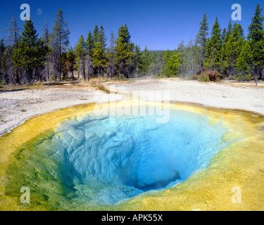 USA - WYOMING: Morning Glory Pool in Yellowstone Nat. Park Stock Photo