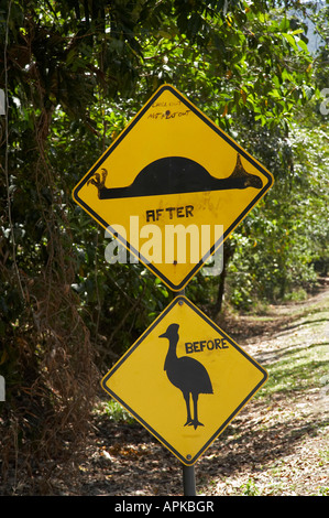Altered Cassowary and Road Hump Signs Daintree National Park World Heritage Area North Queensland Australia Stock Photo