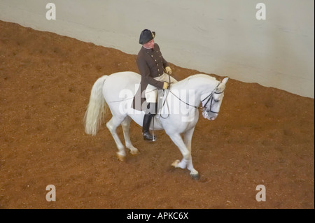 Spanish Riding School, Vienna, Austria Stock Photo