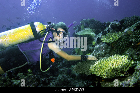 Maldives Underwater environment scuba diver damaging coral by touching the reef Stock Photo