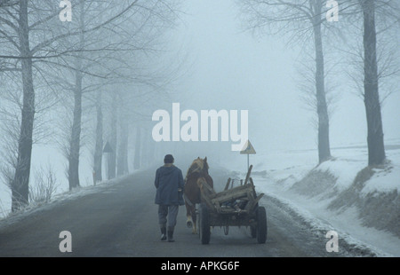 Poland Polish Farm Farms Zakopane horse cart Stock Photo