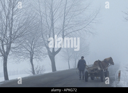 Poland Polish Farm Farms Zakopane horse cart Stock Photo