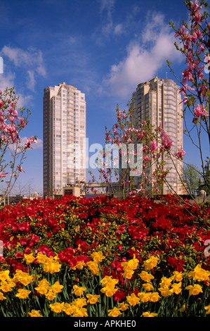 Burnaby, BC, British Columbia, Canada - Spring Flowers growing in Flower Garden and High Rise Buildings at Metrotown Stock Photo