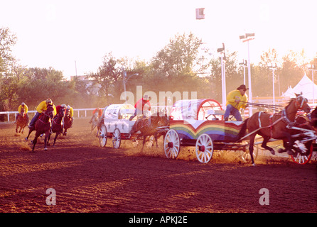 Calgary Stampede, Alberta, Canada - Chuckwagon Race, Cowboys racing Chuck Wagons on Outdoor Racetrack Stock Photo