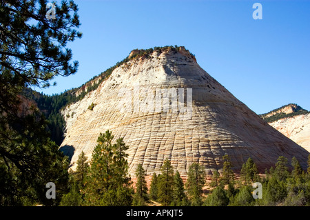 Zion National Park Utah UT Checkerboard Mesa rock formation Stock Photo