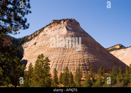 Zion National Park Utah UT Checkerboard Mesa rock formation Stock Photo