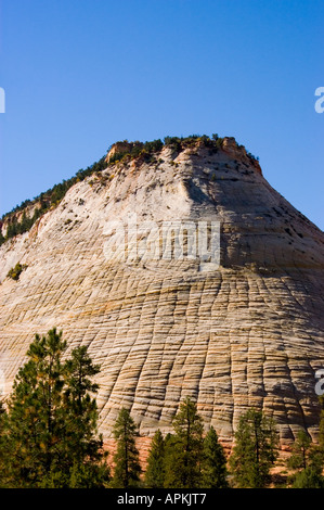 Zion National Park Utah UT closeup of Checkerboard Mesa rock formation Stock Photo