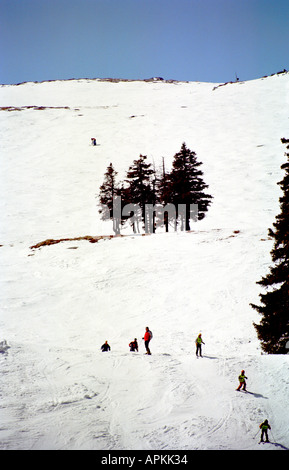 Skiing On Vitosha Mountain Near Sofia The Capital Of Bulgaria Stock Photo