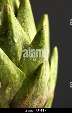 Droplets on artichoke (extreme close-up) Stock Photo