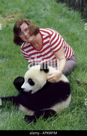 giant panda (Ailuropoda melanoleuca), woman with young Panda at the nursing station Wolong, China, Sichuan Stock Photo