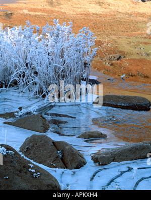 Ice and Frost, Llynnau Mymbyr. Snowdonia National Park. Wales Stock Photo