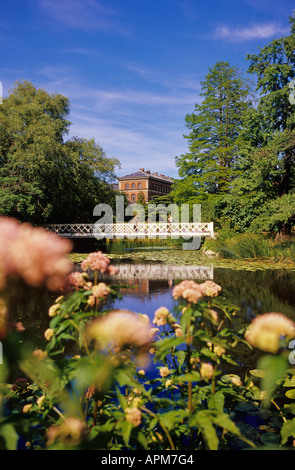 Flower by lake with trees and art museum in background Stock Photo