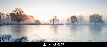 Sunrise over Heron Pond in Bushy Park Richmond upon Thames Greater London England UK Stock Photo